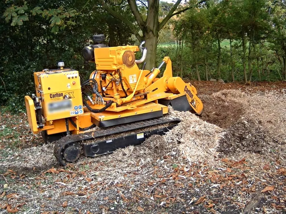 Tree Services – Why You Should Leave Stump Grinding to the Pros