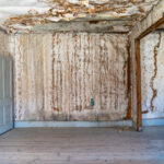 Important Factors to Consider Before Hiring a Water Damage Restoration Contractor